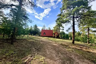 1584 Willow Mountain Rd, Happy Jack, AZ 86024 - Photo 15