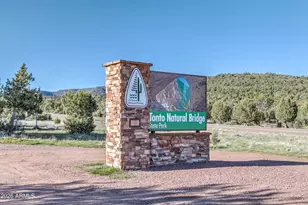 1124 E Elk Rim Ct, Pine, AZ 85544 - Photo 25