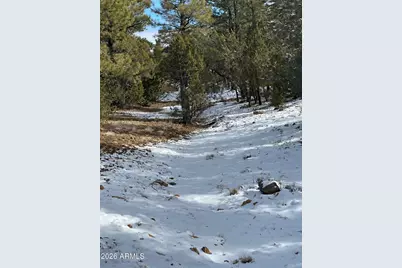 4367 Sunset Ridge Loop #178, Happy Jack, AZ 86024 - Photo 7