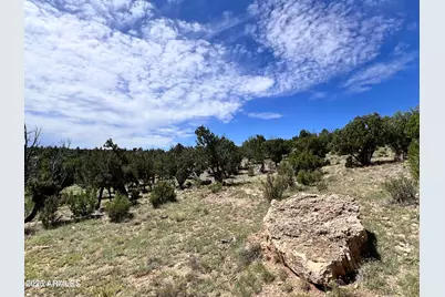 4367 Sunset Ridge Loop #178, Happy Jack, AZ 86024 - Photo 3