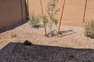 15564 W Williams St, Goodyear, AZ 85338 - Photo 25