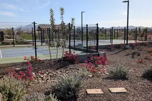 15564 W Williams St, Goodyear, AZ 85338 - Photo 27