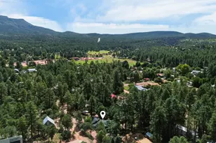 6401 W Randall Dr W, Pine, AZ 85544 - Photo 47