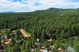 6401 W Randall Dr W, Pine, AZ 85544 - Photo 49