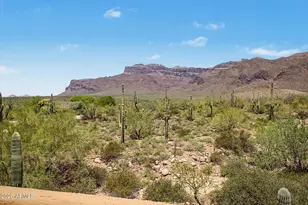 10196 E Open Sky Dr, Gold Canyon, AZ 85118 - Photo 51