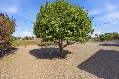 10226 W Palmer Drive, Sun City, AZ 85351 - Photo 33