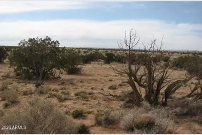 985 Ellsworth Drive #507, Heber, AZ 85928 - Photo 3