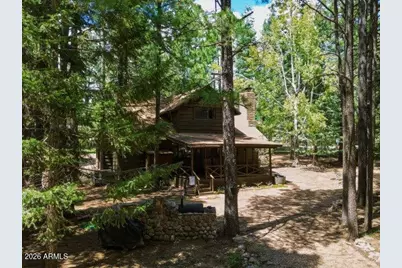 1640 Sheep Springs Road, Forest Lakes, AZ 85931 - Photo 3