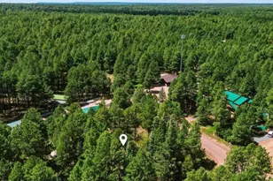 1640 Sheep Springs Rd, Forest Lakes, AZ 85931 - Photo 41