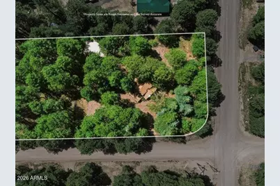1640 Sheep Springs Road, Forest Lakes, AZ 85931 - Photo 39