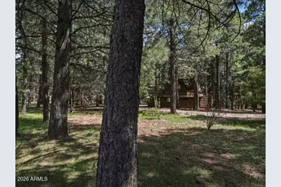 1640 Sheep Springs Road, Forest Lakes, AZ 85931 - Photo 37