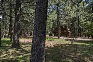 1640 Sheep Springs Rd, Forest Lakes, AZ 85931 - Photo 37