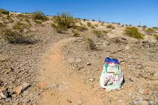 17690 W Verdin Rd, Goodyear, AZ 85338 - Photo 45