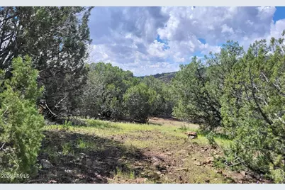 1017 S Flat Tire Road #1017, Williams, AZ 86046 - Photo 7