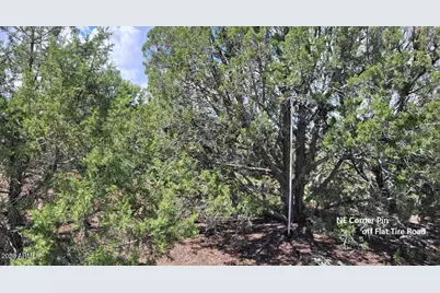 1017 S Flat Tire Road #1017, Williams, AZ 86046 - Photo 15