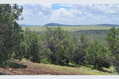 1017 S Flat Tire Road #1017, Williams, AZ 86046 - Photo 13