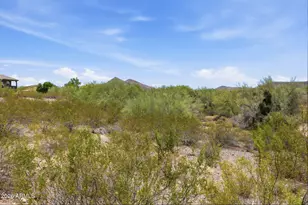 29232 N 123rd Ln, Peoria, AZ 85383 - Photo 49