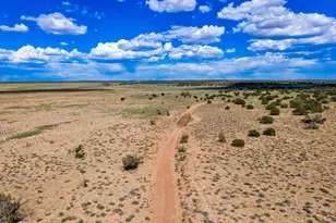 70 County Road N6564 --, Saint Johns, AZ 85936 - Photo 5