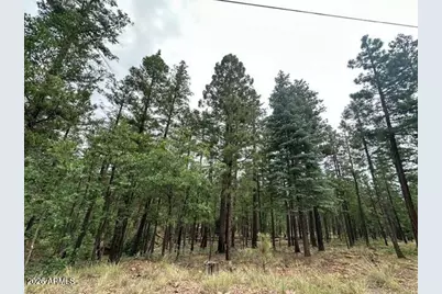 15 N Buttermilk Lane #52, Alpine, AZ 85920 - Photo 3