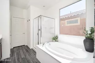 25502 N 164th Ave, Surprise, AZ 85387 - Photo 19