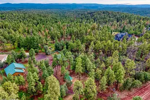 4895 Rim Spur, Lakeside, AZ 85929 - Photo 35