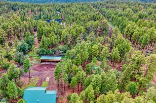 4895 Rim Spur, Lakeside, AZ 85929 - Photo 31