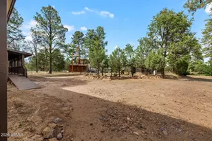 3520 Buckskin Rd, Overgaard, AZ 85933 - Photo 29