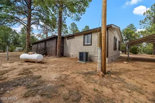 3520 Buckskin Rd, Overgaard, AZ 85933 - Photo 27