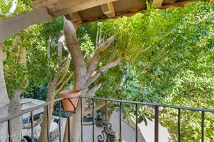 6701 N Scottsdale Rd, Scottsdale, AZ 85250 - Photo 55