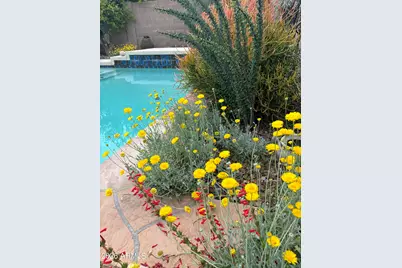 147 E Palo Blanco Way, Gilbert, AZ 85296 - Photo 9
