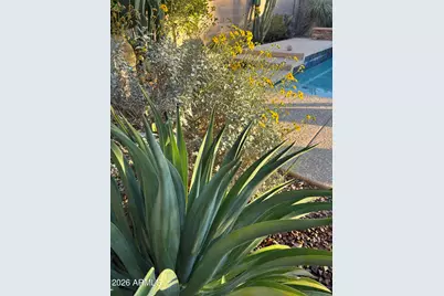 147 E Palo Blanco Way, Gilbert, AZ 85296 - Photo 15