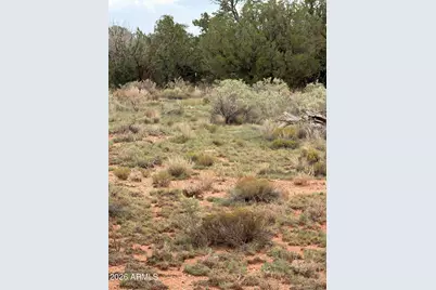 3264 S Coolidge Road #30, Williams, AZ 86046 - Photo 9