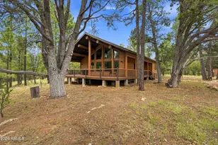 4729 Stallion Rd, Happy Jack, AZ 86024 - Photo 35