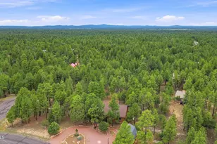 4729 Stallion Rd, Happy Jack, AZ 86024 - Photo 49
