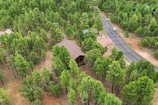 4729 Stallion Rd, Happy Jack, AZ 86024 - Photo 43