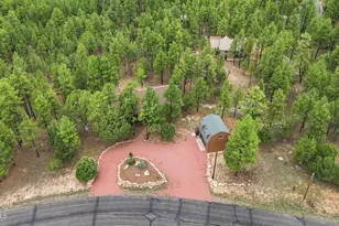 4729 Stallion Rd, Happy Jack, AZ 86024 - Photo 45