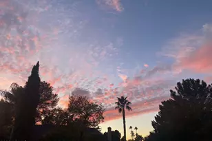 1502 N 25th St, Mesa, AZ 85213 - Photo 5