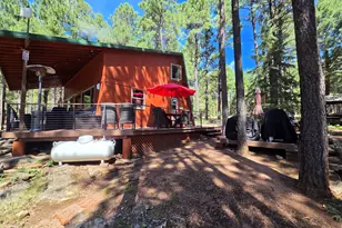 2644 Summer Loop, Forest Lakes, AZ 85931 - Photo 3
