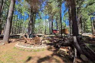 2644 Summer Loop, Forest Lakes, AZ 85931 - Photo 11
