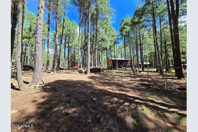 2644 Summer Loop, Forest Lakes, AZ 85931 - Photo 7