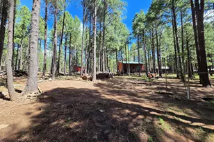 2644 Summer Loop, Forest Lakes, AZ 85931 - Photo 7