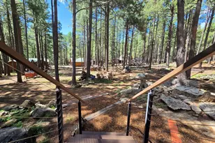 2644 Summer Loop, Forest Lakes, AZ 85931 - Photo 25