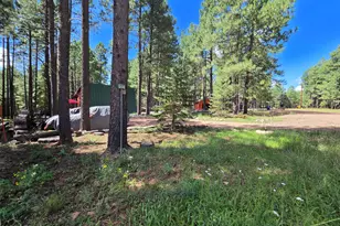 2644 Summer Loop, Forest Lakes, AZ 85931 - Photo 13