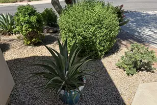 23221 N 40th Way, Phoenix, AZ 85050 - Photo 33