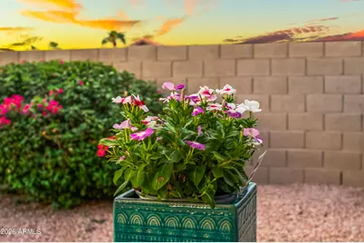 15410 W Earll Court, Goodyear, AZ 85395 - Photo 5