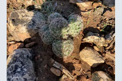 4897 NW Sunset Ridge Loop Loop #184, Happy Jack, AZ 86024 - Photo 17