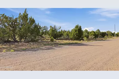 4897 NW Sunset Ridge Loop Loop #184, Happy Jack, AZ 86024 - Photo 3