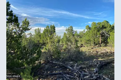 4897 NW Sunset Ridge Loop Loop #184, Happy Jack, AZ 86024 - Photo 19