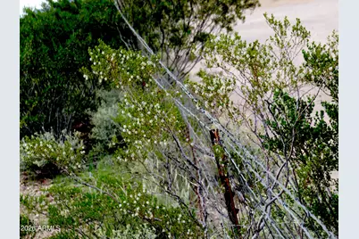 Lot C Tbd S Foudy Road #P/C, Bisbee, AZ 85603 - Photo 3