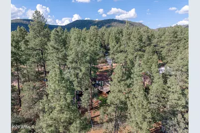8317 W Eagle Drive, Pine, AZ 85544 - Photo 5